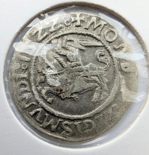 Žygimanto Senojo 1522 pusgrašis 