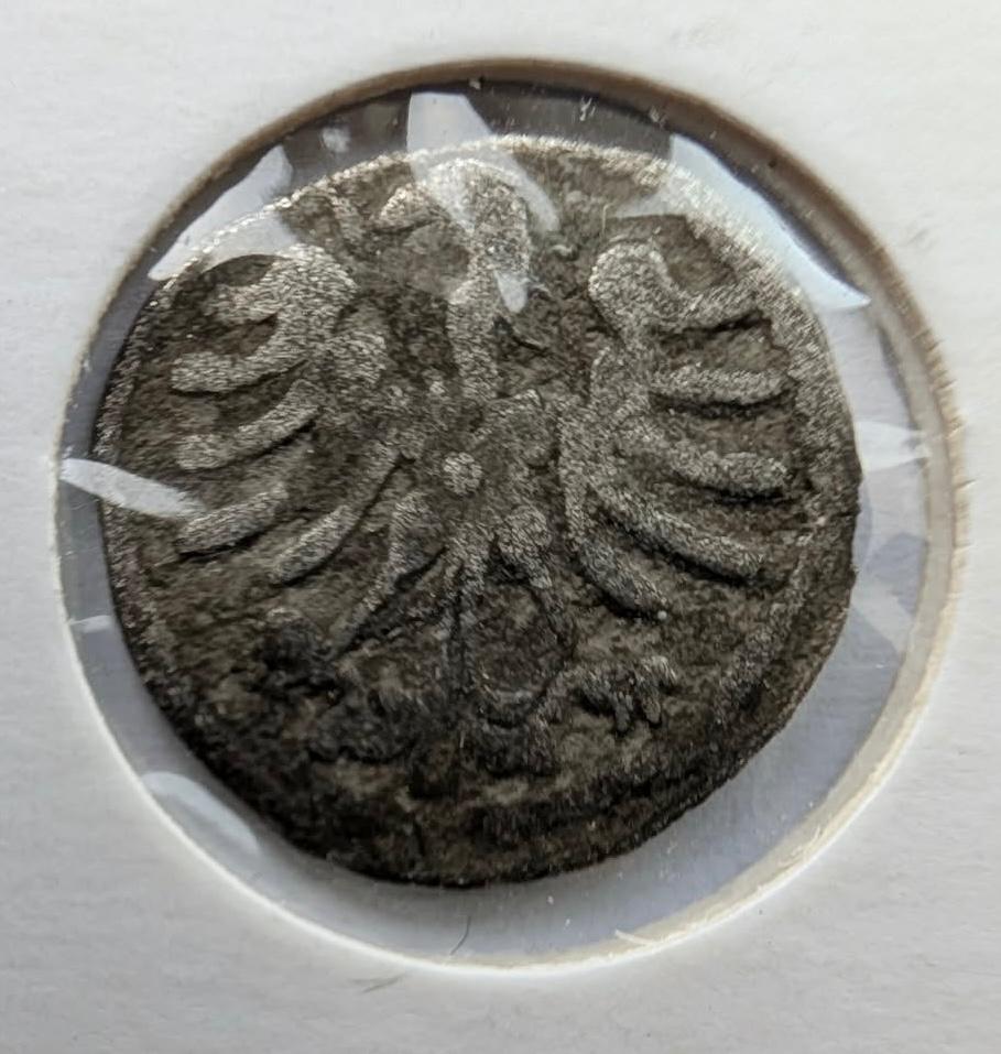 Aleksandro Jogailaičio denaras 1495-1506