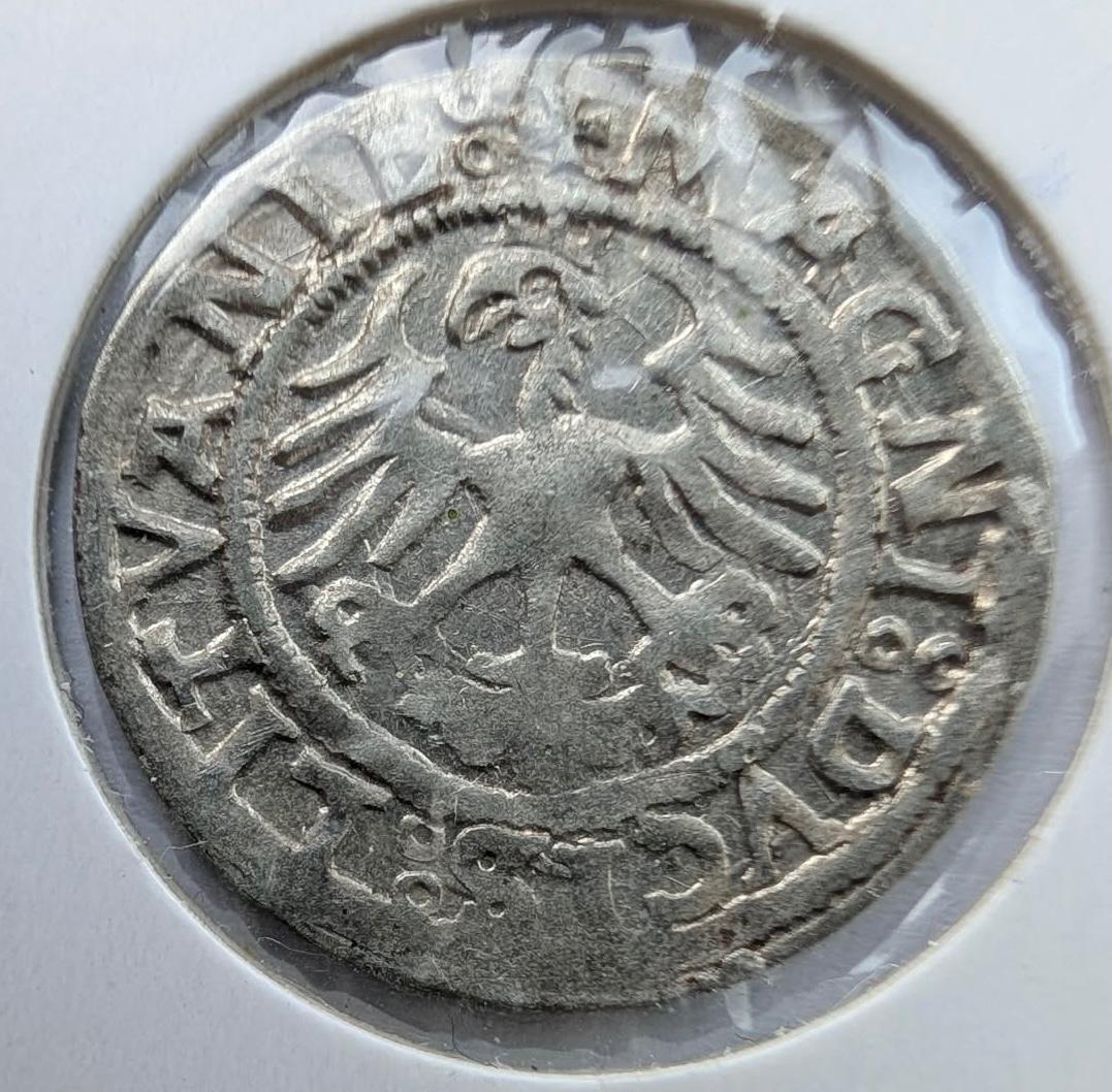 Žygimanto Senojo 1521 pusgrašis su klaida