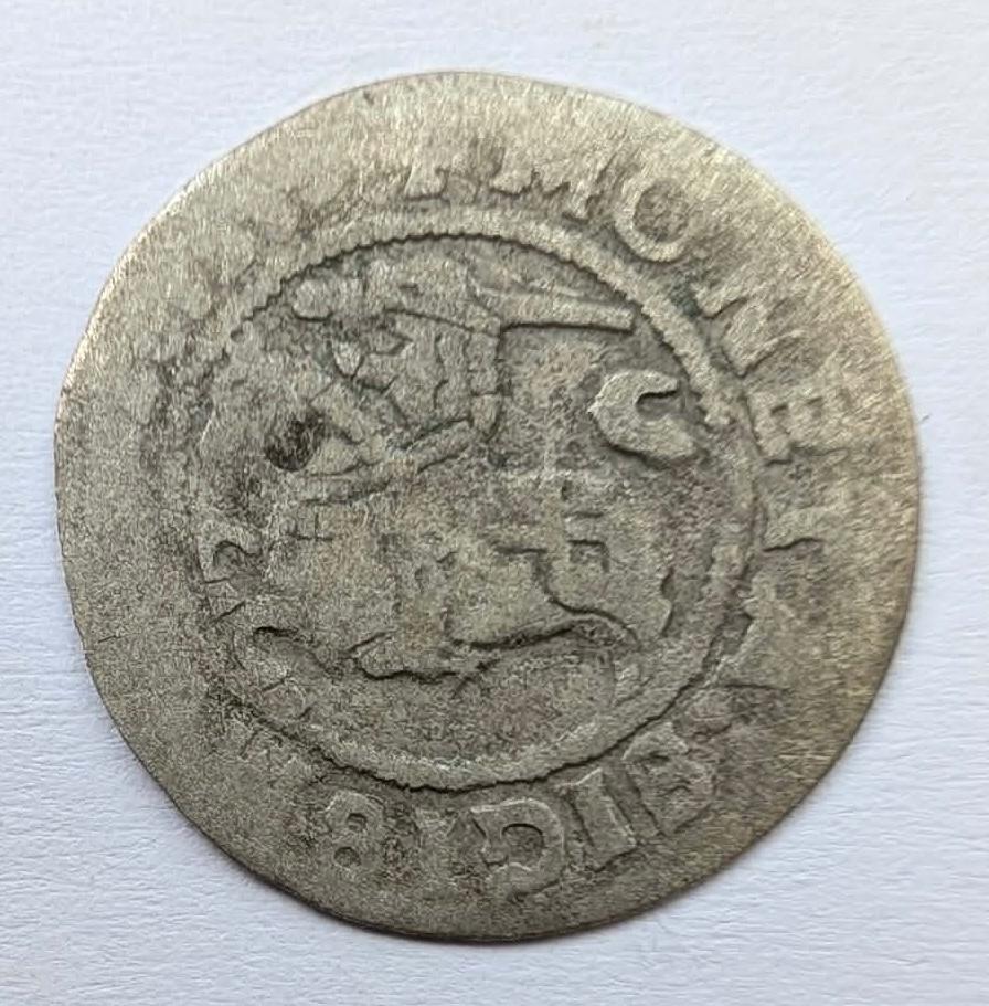 Žygimanto Senojo 1519 pusgrašis 