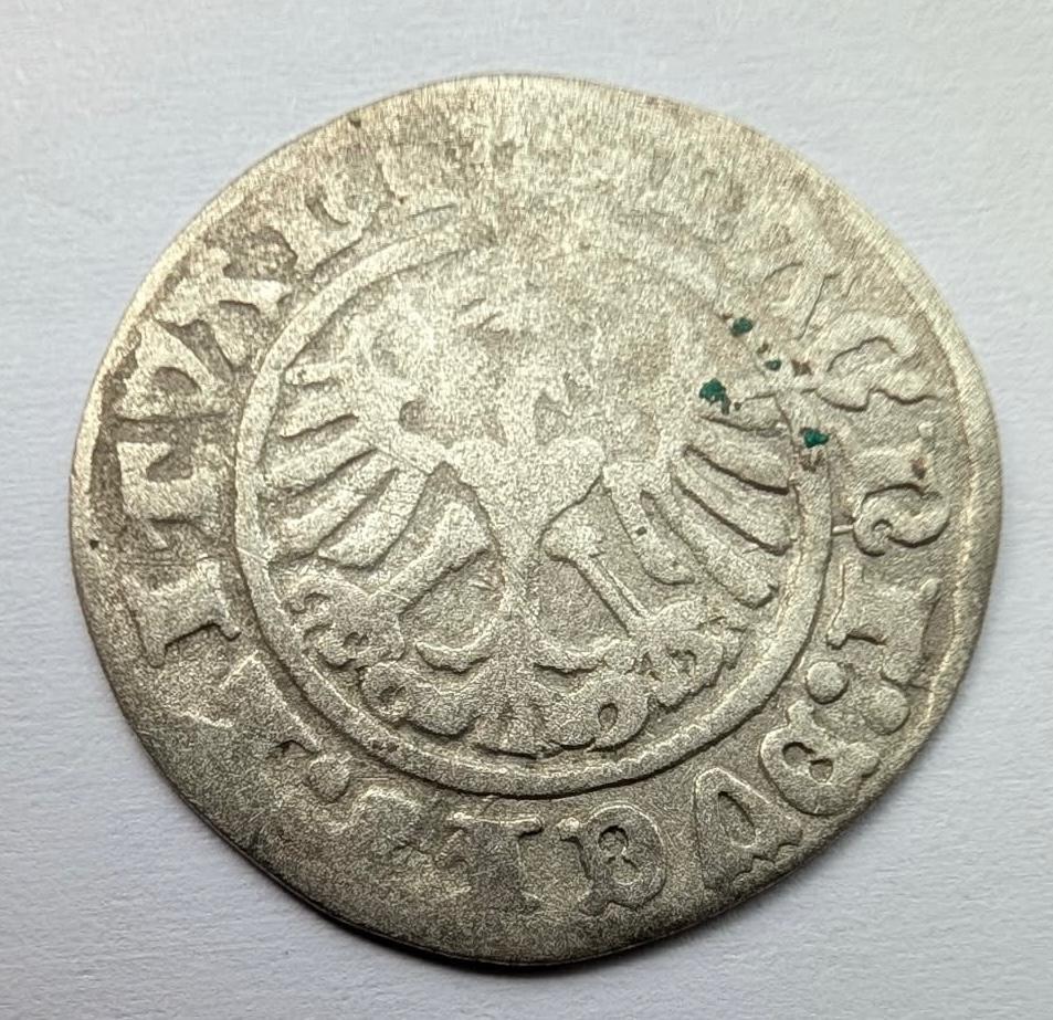Žygimanto Senojo 1511 pusgrašis 