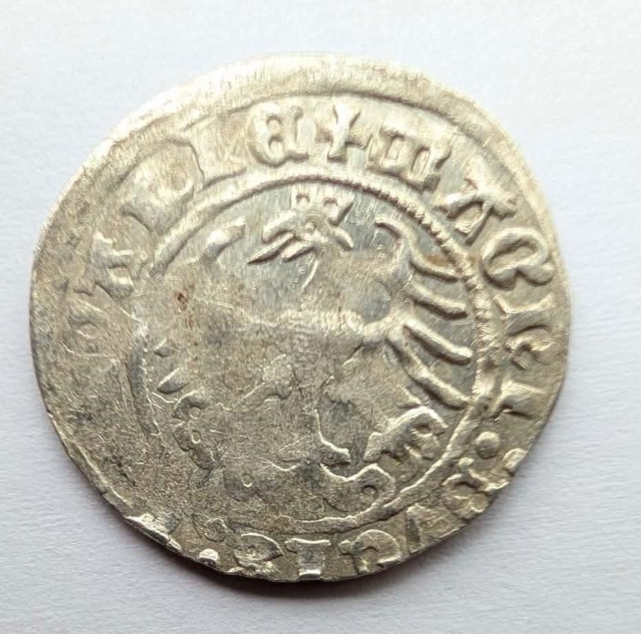 Žygimanto Senojo 1512 pusgrašis 