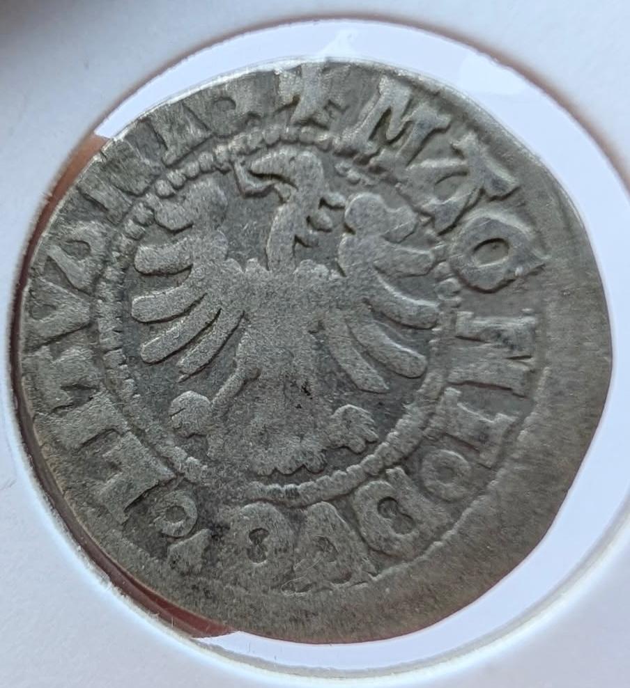 Aleksandro Jogailaičio 1495-1506 pusgrašis 
