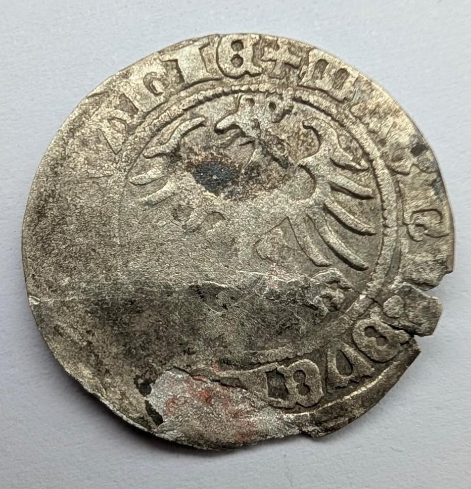 Žygimanto Senojo 1510-1515 pusgrašis 