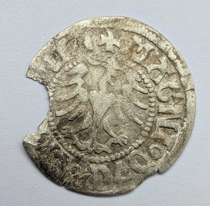 Aleksandro Jogailaičio 1495-1506 pusgrašis 