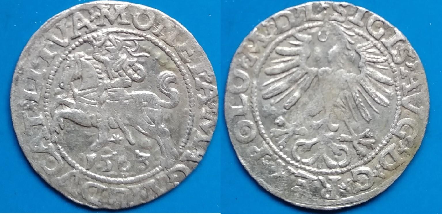 LDK - Ž.Augusto 1563 m. PUSGRAŠIS