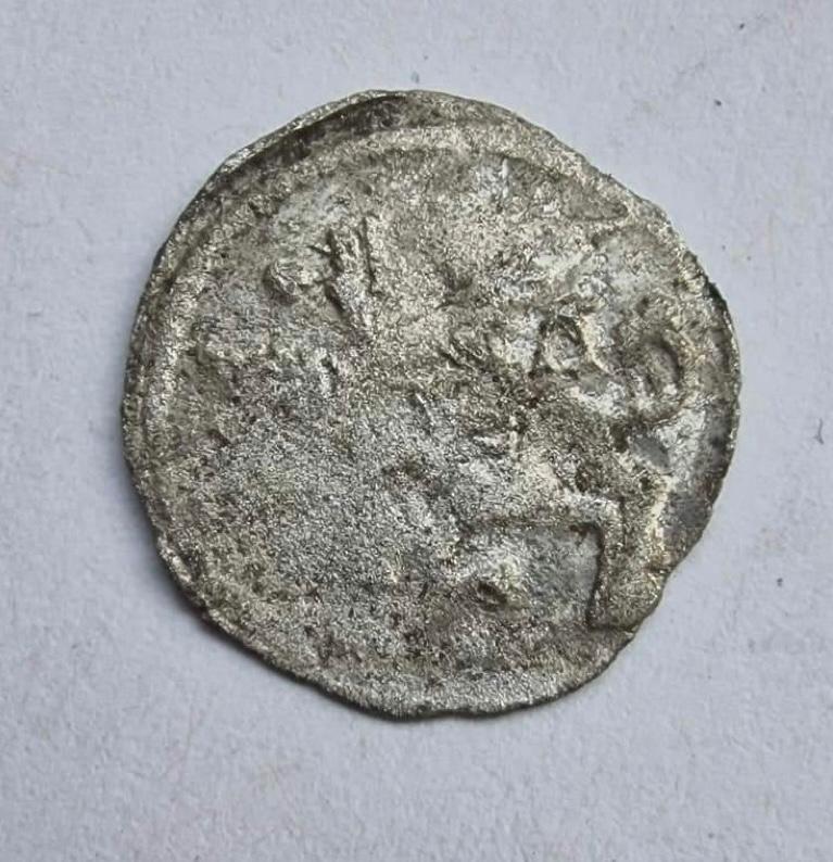 Aleksandro Jogailaičio denaras 1495-1506