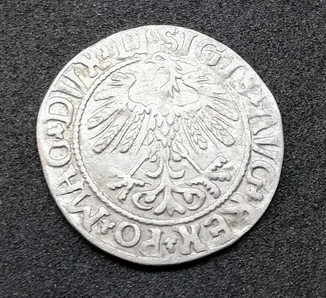 LDK Žygimantas Augustas pusgrašis 1558